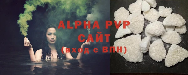 индика Гусиноозёрск
