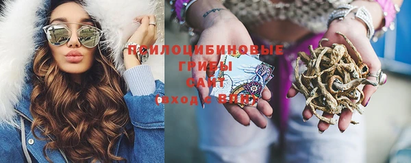 мяу мяу кристалл Алексин