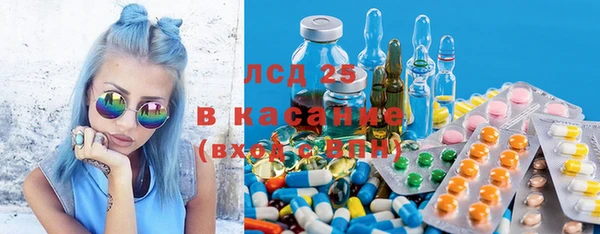 хмурый Алзамай