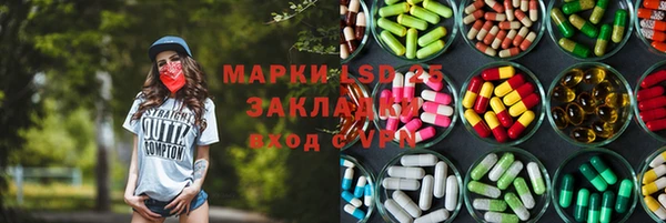 хмурый Алзамай
