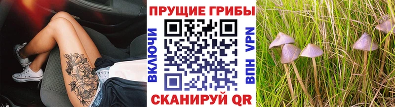 Галлюциногенные грибы ЛСД блэк спрут как войти Данилов